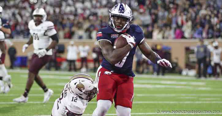 Reports: Steelers TE D.J. Thomas-Jones avoids season-ending injury