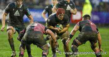 Welsh rugby star set to stay after likely ban from Wales squad emerged