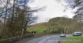 Air ambulance at scene of serious crash