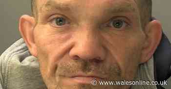 Police officer hurt in dramatic chase as burglar smashes stolen car into roadblock