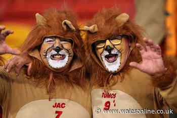 The story behind the two Welsh Lions fans you keep seeing on TV