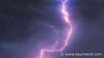 Hernando County crews revive lightning strike victim