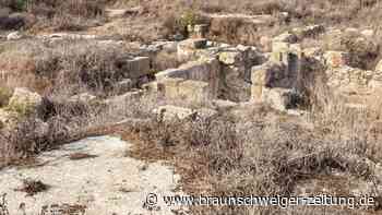 Violett für Könige: Archäologen entschlüsseln Farb-Ursprung