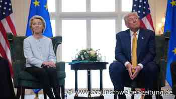 Einigung im Zollstreit: Besser oder schlechter für VW und Co?