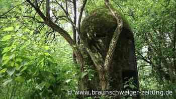 In einem Wald in Salzgitter steht eine mysteriöse Beton-Fratze