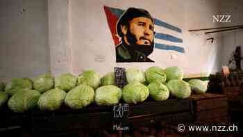 Trotz Krise in Kuba: Bei den Castros geht die Party immer weiter