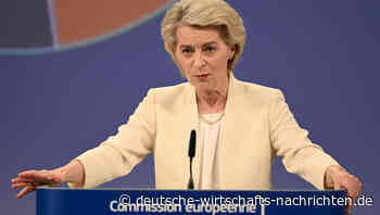 EU-Steuerplan: Diese 5 neuen Abgaben könnten bald ganz Europa treffen