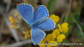 Naturschutzprojekte in Bayern bangen ums Geld