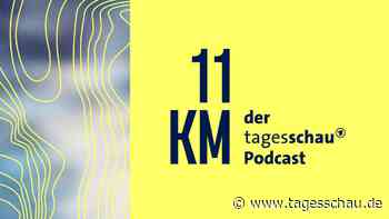 11KM-Podcast: Filter der Ozeane - Austern in Gefahr 