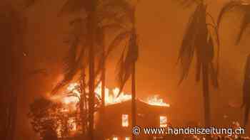 Naturkatastrophen richten 131 Milliarden Dollar Schaden an