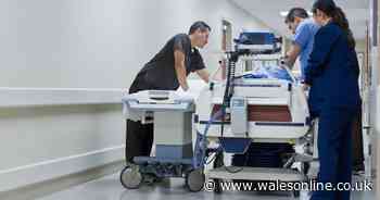 AD FEATURE: Concerned doctors and nurses make heartfelt plea to the public to act to put an end to 'corridor care'