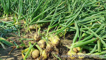 Spuitkansen benutten bij wisselvallig weer