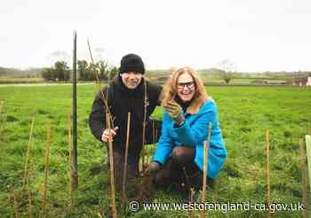 Bus industry swaps steering wheels for spades for milestone environmental project