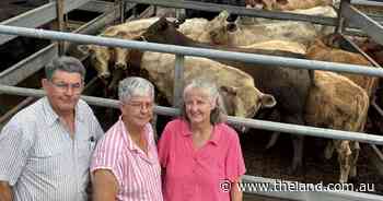 Queensland demand underpins Grafton weaner sale