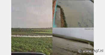 Aardappelschaarste op Marokkaanse binnenlandse markt