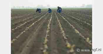 "Nieuwe benadering ‘familievrijstelling’ zet agrarische bedrijfsopvolging op slot"