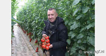 Onverwacht levendige vraag naar Italiaanse tomatenspecialiteiten