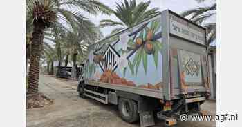 “Onze dadeloogst groeit jaarlijks met 20 tot 25 procent”