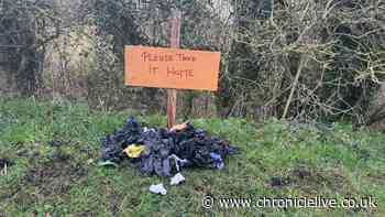 'Deplorable' dog poo problem on Durham's historic railway route