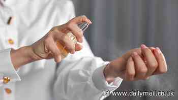 You've been applying your perfume wrong! Experts reveal the mistakes all women make that make you smell WORSE