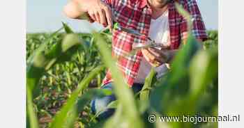 Meer biologische landbouw verbetert bodemgezondheid en biodiversiteit