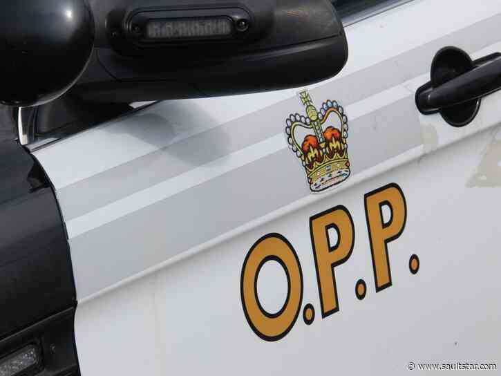 Fake $100 bill used in Elliot Lake