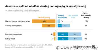 What Do Americans Consider Immoral?