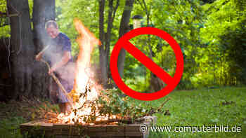 Wichtig für Hobbygärtner: Diese Gartenarbeit ist nur noch bis 31. März erlaubt