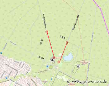 Mannheim – Krötenwanderung: Zahlreiche überfahrene Erdkröten gesichtet