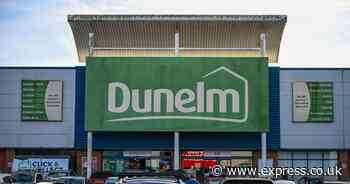 Dunelm's £18 windowsill decoration 'looks even better in person'