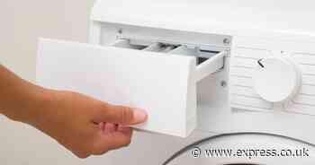 People are just realising what three washing machine compartments are used for