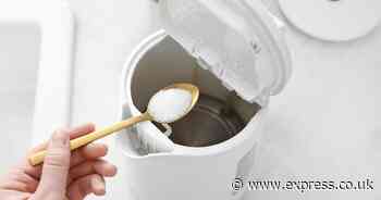 Remove kettle limescale using 10p item cleaner claims is 'so much better' than vinegar