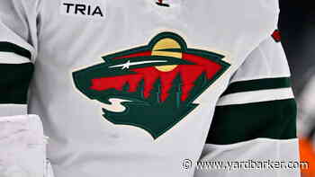How Did 'Wild' Become the Face of Minnesota Hockey?