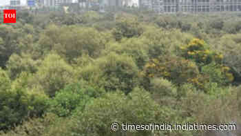Can cut 46k mangroves for Mumbai project: SC