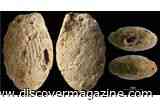 15,000-Year-Old Clay Beads Preserve Children&rsquo;s Fingerprints and Reveal Early Human Life