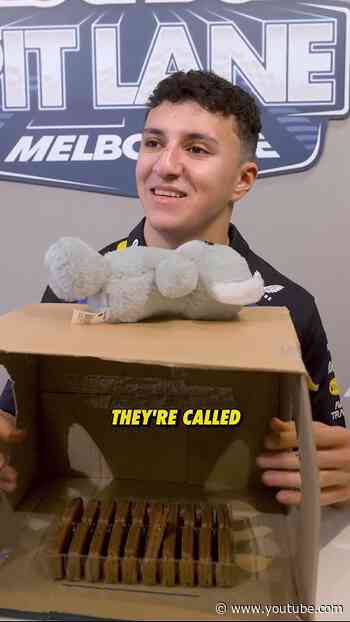 Another snack added to the collection 🇦🇺 #F1 #RedBullRacing