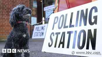 All you need to know as Essex heads into a big round of elections