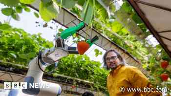 Fruit-picking robot wins national award