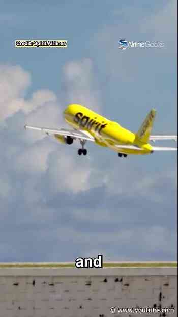 Spirit Airlines to continue fleet cuts