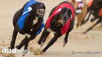 Greyhound racing ban legal challenge rejected