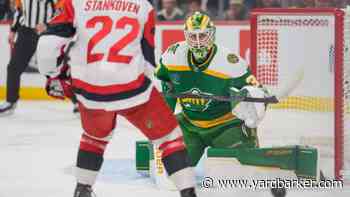 Panthers Should Look Into Trading for  Wild’s Goaltender Jesper Wallstedt