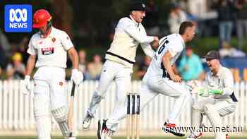 Sheffield Shield final day three live scores, Victoria vs South Australia