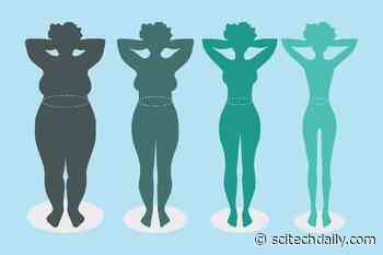 Your BMI Might Be Wrong: Study Finds Millions Are Misclassified