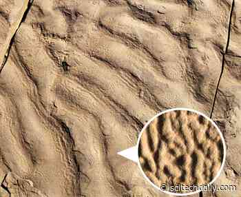 “These Wrinkles Shouldn’t Exist” – A Geologist’s Hike Uncovers a 180-Million-Year-Old Mystery