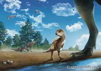 First New Dinosaur Species Found in Korea in 15 Years Surprises Scientists