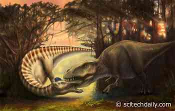 Tyrannosaurus Tooth Found Embedded in Dinosaur Skull Reveals Brutal Prehistoric Attack