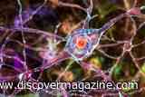 Huntington&rsquo;s Disease Is a Relentless, Neurodegenerative Condition &mdash; But Treatment May Soon Be Possible