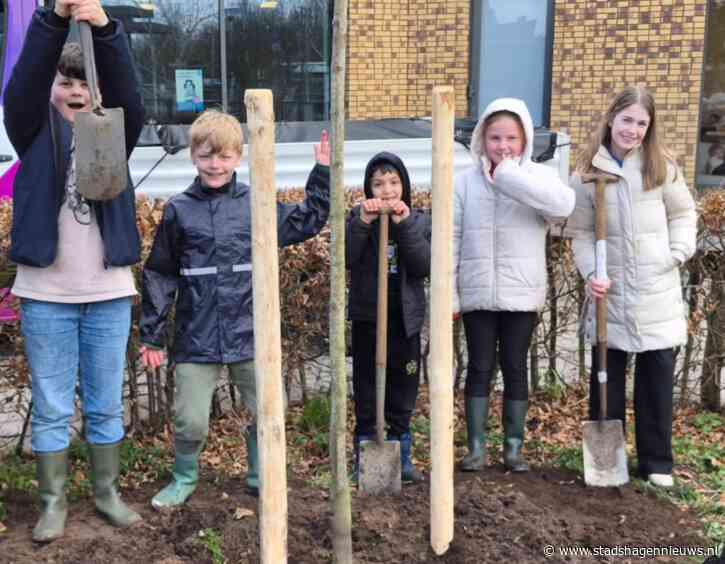 Plantfeest De Schatkamer: meer groen goed voor biodiversiteit en minder pestgedrag