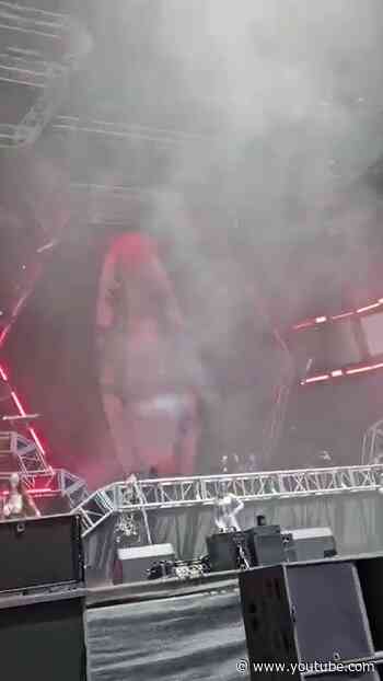 FAN FOOTAGE: Wake Me Up LIVE at Mainstage ULTRA MIAMI