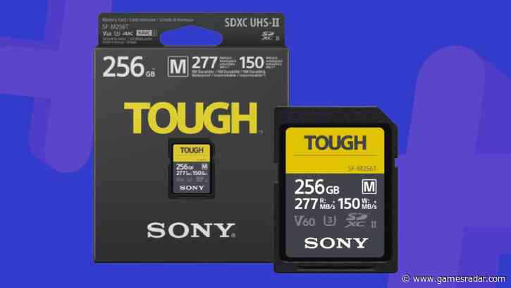 AI strikes again as Sony Japan announces it's suspending memory card production